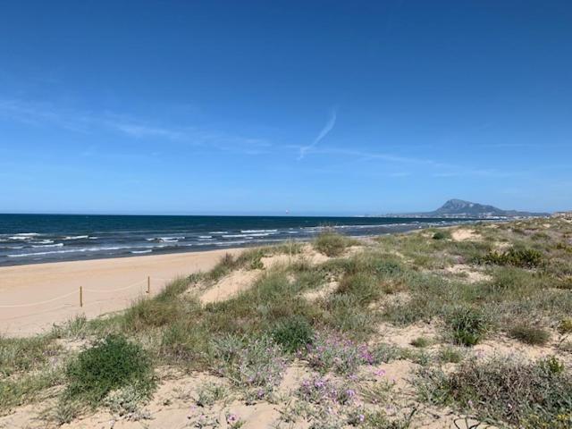 Palmeras En La Playa - Beach House In אוליבה מראה חיצוני תמונה